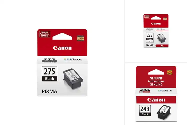 Detailed view of Best Black Ink for Canon Printers