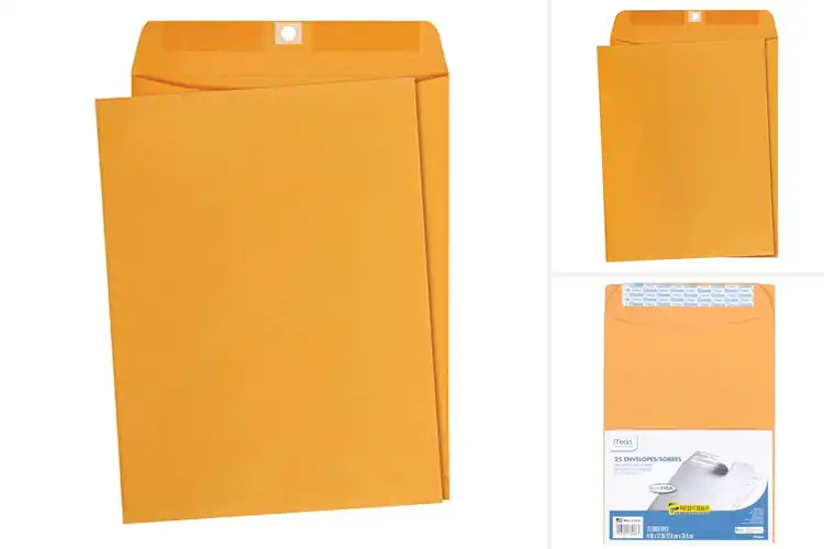 Detailed view of Best Document Envelopes