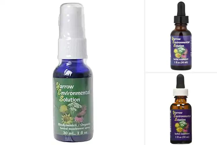 Detailed view of Best Environmental Solutions