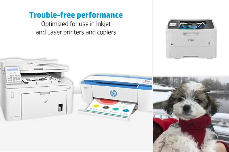 Detailed view of Best Print Qualities: Vibrant Colors & Sharp Details